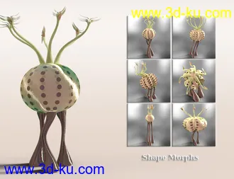 3D打印模型Jepe's WonderPlantZ的图片