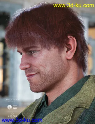 3D打印模型Justify Hair for Genesis 8 Male(s)的图片