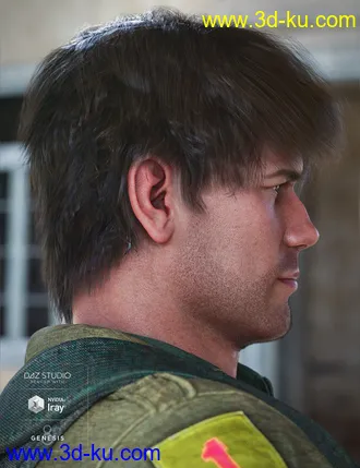 3D打印模型Justify Hair for Genesis 8 Male(s)的图片