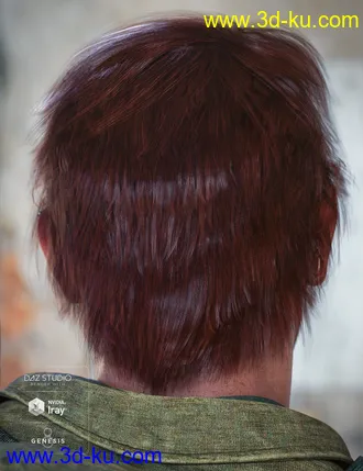 3D打印模型Justify Hair for Genesis 8 Male(s)的图片
