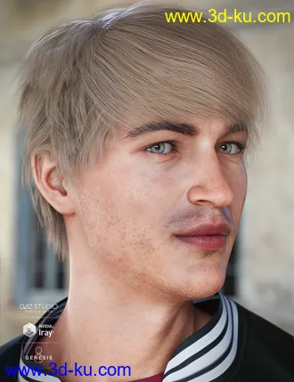 3D打印模型Justify Hair for Genesis 8 Male(s)的图片