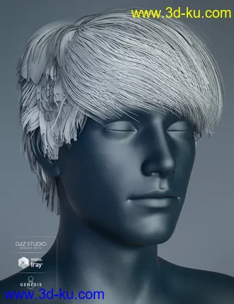3D打印模型Justify Hair for Genesis 8 Male(s)的图片