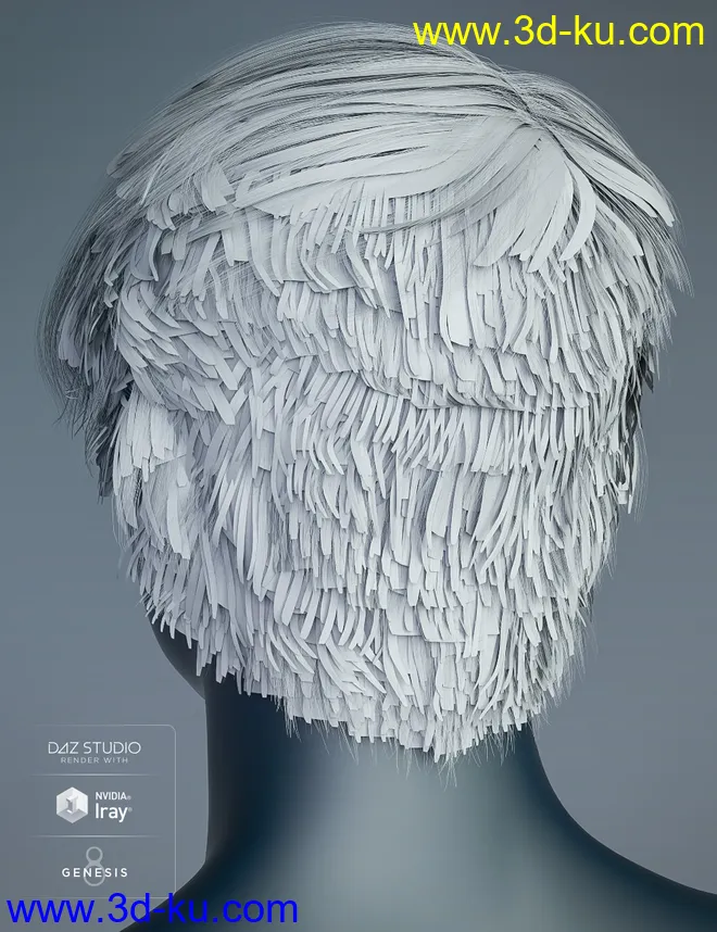Justify Hair for Genesis 8 Male(s)模型的图片8