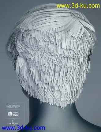 3D打印模型Justify Hair for Genesis 8 Male(s)的图片