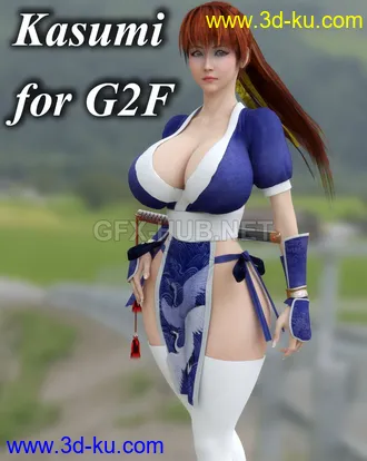 3D打印模型Kasumi Dress For G2f的图片