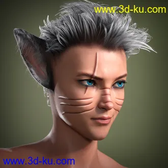 3D打印模型Kota 8.1的图片