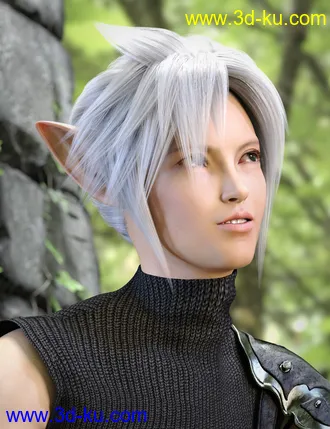 3D打印模型Kota Hair for Genesis 8 and 8.1 Males的图片