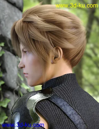 3D打印模型Kota Hair for Genesis 8 and 8.1 Males的图片