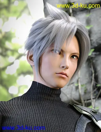 3D打印模型Kota Hair for Genesis 8 and 8.1 Males的图片