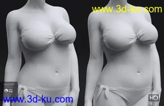 3D打印模型Latonya 8 HD Add-On的图片