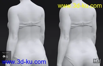 3D打印模型Latonya 8 HD Add-On的图片