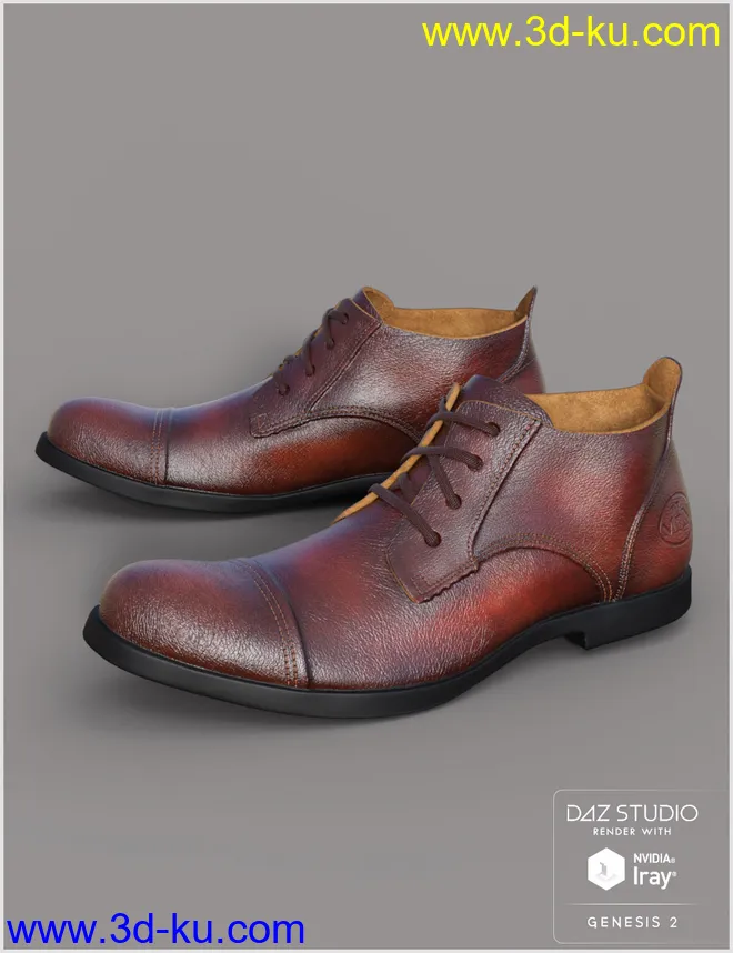 Leather Shoes For Genesis 2 Male(s)模型的图片1
