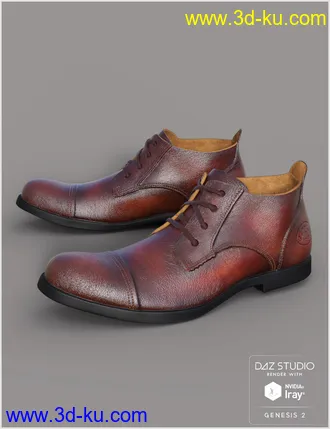3D打印模型Leather Shoes For Genesis 2 Male(s)的图片