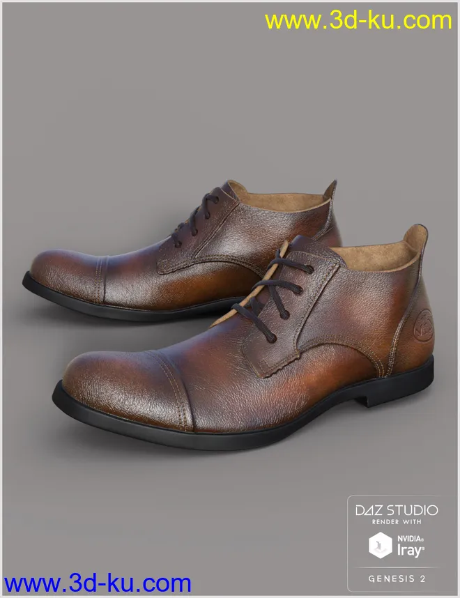 Leather Shoes For Genesis 2 Male(s)模型的图片2