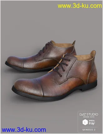 3D打印模型Leather Shoes For Genesis 2 Male(s)的图片