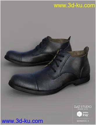 3D打印模型Leather Shoes For Genesis 2 Male(s)的图片
