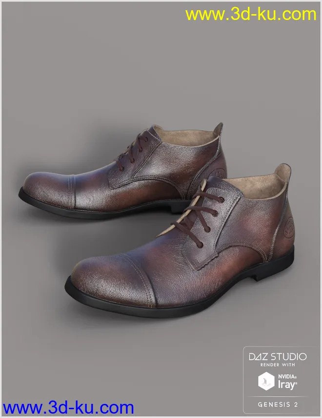 Leather Shoes For Genesis 2 Male(s)模型的图片4