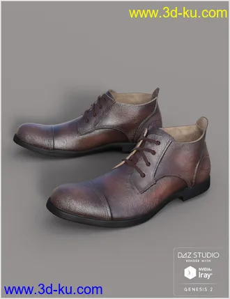 3D打印模型Leather Shoes For Genesis 2 Male(s)的图片