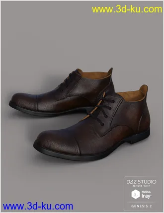 3D打印模型Leather Shoes For Genesis 2 Male(s)的图片