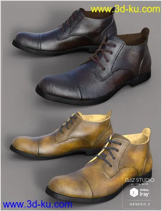 3D打印模型Leather Shoes For Genesis 2 Male(s)的图片