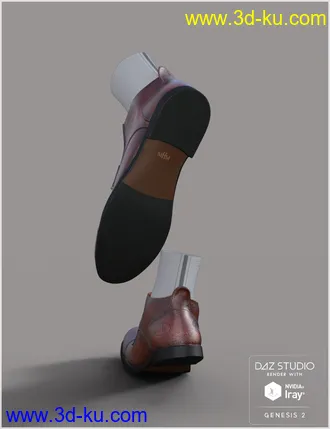 3D打印模型Leather Shoes For Genesis 2 Male(s)的图片
