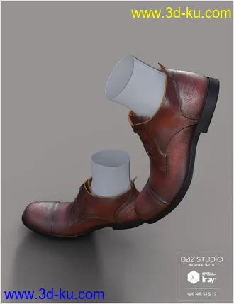 3D打印模型Leather Shoes For Genesis 2 Male(s)的图片