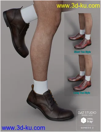 3D打印模型Leather Shoes For Genesis 2 Male(s)的图片
