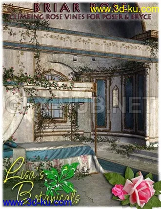 3D打印模型Lisas Botanicals Briar Rose的图片