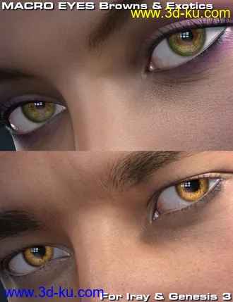 Macro Eyes for Iray Bundle模型的图片1