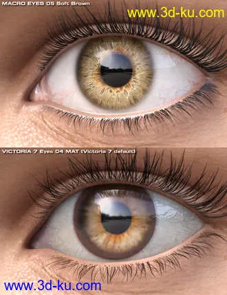 Macro Eyes for Iray Bundle模型的图片2