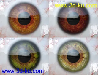 Macro Eyes for Iray Bundle模型的图片3