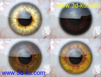 3D打印模型Macro Eyes for Iray Bundle的图片