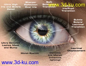 Macro Eyes for Iray Bundle模型的图片9