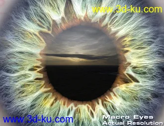 3D打印模型Macro Eyes for Iray Bundle的图片