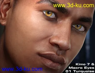 Macro Eyes for Iray Bundle模型的图片15