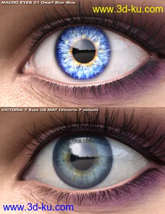 3D打印模型Macro Eyes for Iray Bundle的图片