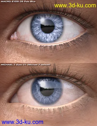 Macro Eyes for Iray Bundle模型的图片25