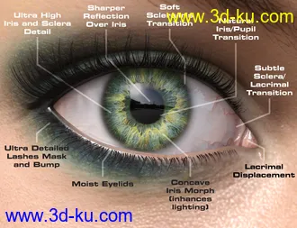 Macro Eyes for Iray Bundle模型的图片26