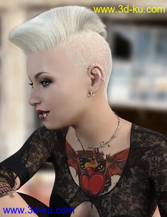 3D打印模型Makenna Hair for Genesis 8 Females的图片