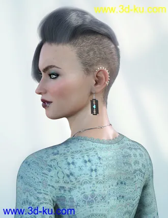 3D打印模型Makenna Hair for Genesis 8 Females的图片