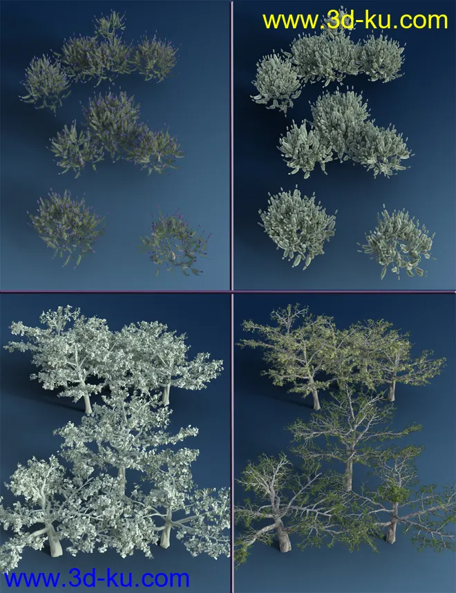 Mediterranean Trees and Shrubs - Low Res Plants模型的图片6