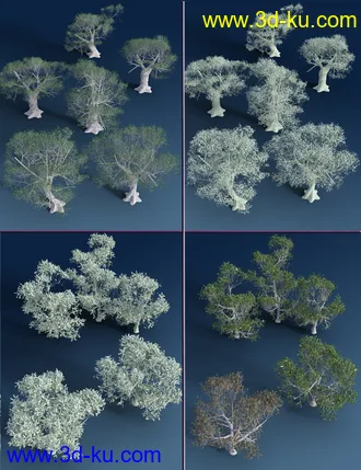 3D打印模型Mediterranean Trees and Shrubs - Low Res Plants的图片