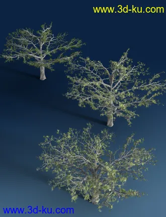 3D打印模型Mediterranean Trees and Shrubs - Low Res Plants的图片