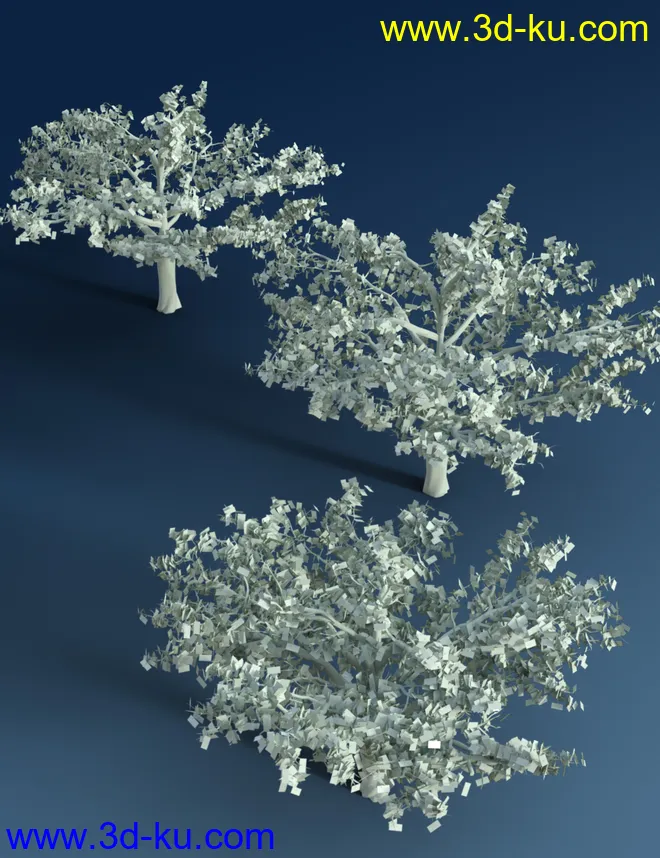 Mediterranean Trees and Shrubs - Low Res Plants模型的图片9