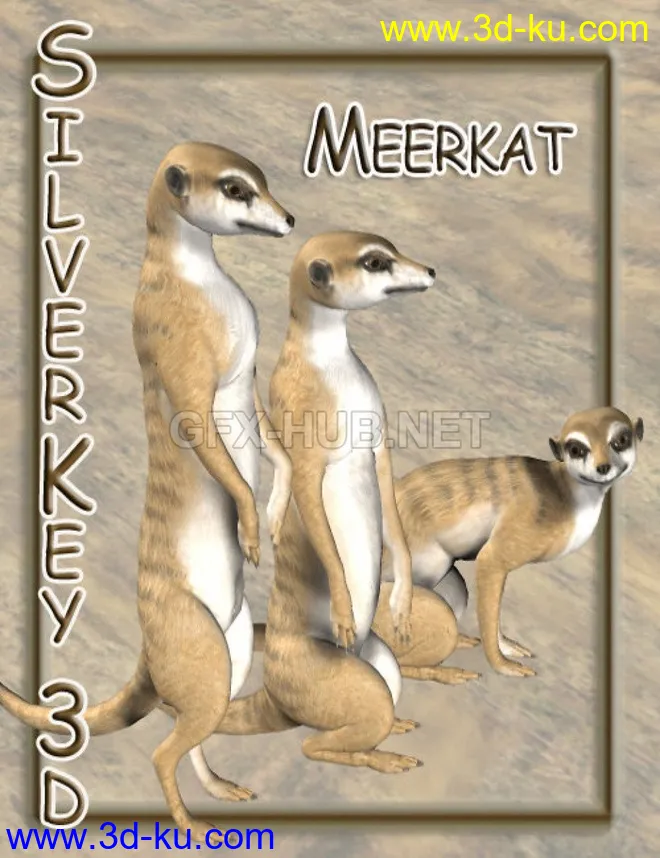Meerkat模型的图片1
