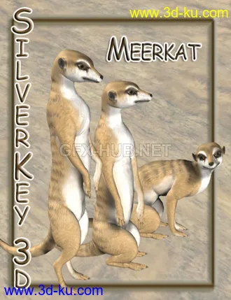 3D打印模型Meerkat的图片