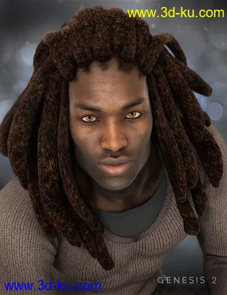3D打印模型Messy Dreads for Genesis 2 Male(s)的图片