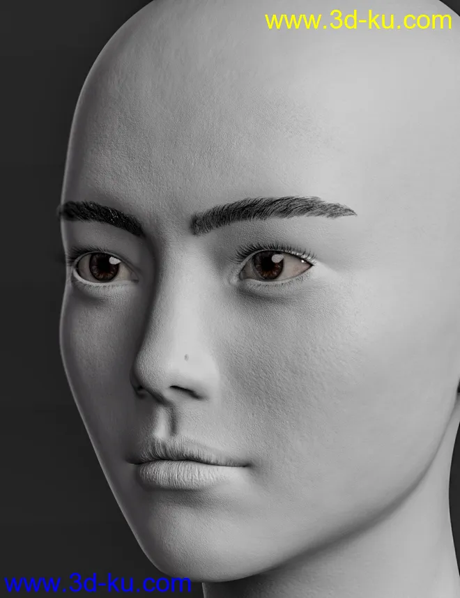 Mio HD for Genesis 8 and 8.1 Female模型的图片20