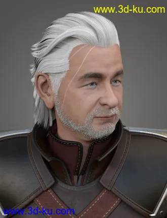 3D打印模型Monster Slayer Hair and Beard for Genesis 8 Males的图片