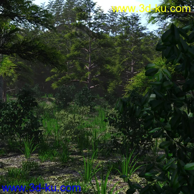 Mountain Forest模型的图片7
